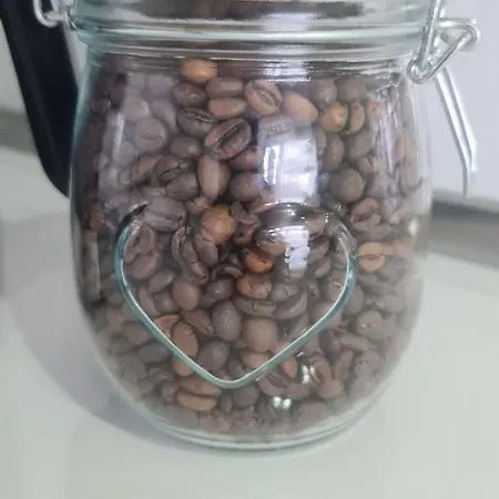 Sally لينزكريش